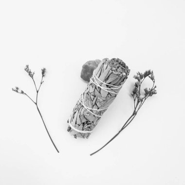 Doğal tütsü, Beyaz Bilge ve Palo Santo. Güney Amerika 'nın kutsal ağacı. Beyaz bilge ve Palo Santo beyaz arka planda.. 