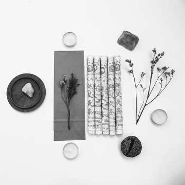 Doğal tütsü, Beyaz Bilge ve Palo Santo. Güney Amerika 'nın kutsal ağacı. Beyaz bilge ve Palo Santo beyaz arka planda.. 