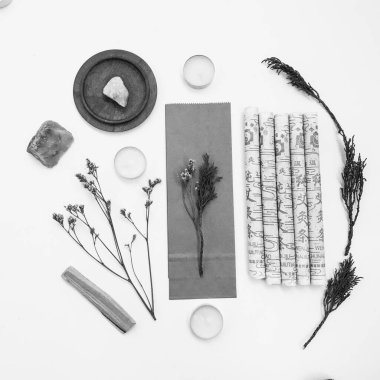 Doğal tütsü, Beyaz Bilge ve Palo Santo. Güney Amerika 'nın kutsal ağacı. Beyaz bilge ve Palo Santo beyaz arka planda.. 