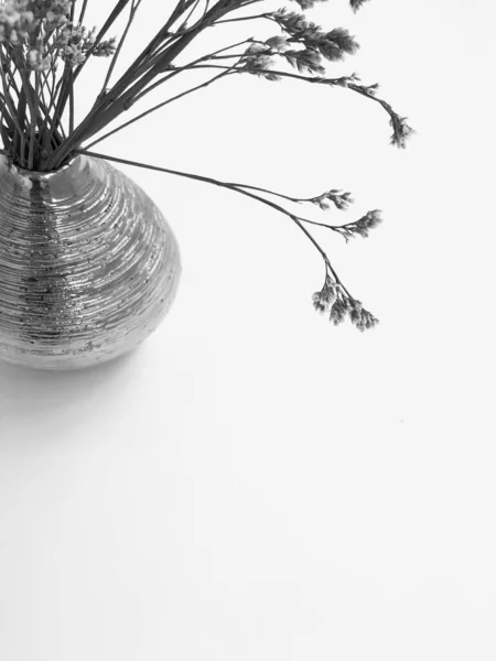 Fluffy Tan Pom Pom Plants Bouquet White Background Minimal Floral — Stock Photo, Image