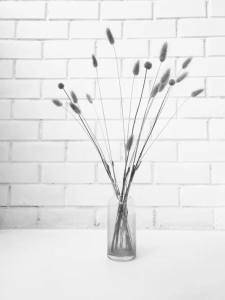 Fluffy tan pom pom plants bouquet on white background. Minimal floral holiday composition. Dry floral branch on white background. Flat lay, top view minimal neutral flower background.