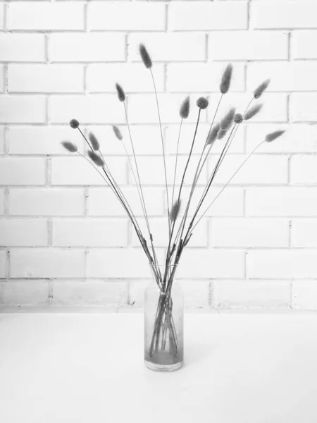 Fluffy tan pom pom plants bouquet on white background. Minimal floral holiday composition. Dry floral branch on white background. Flat lay, top view minimal neutral flower background.