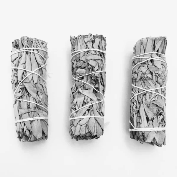 Doğal tütsü, Beyaz Bilge ve Palo Santo. Güney Amerika 'nın kutsal ağacı. Beyaz bilge ve Palo Santo beyaz arka planda.. 