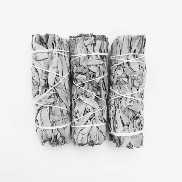 Doğal tütsü, Beyaz Bilge ve Palo Santo. Güney Amerika 'nın kutsal ağacı. Beyaz bilge ve Palo Santo beyaz arka planda.. 