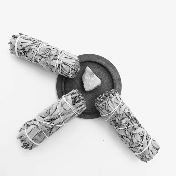 Doğal tütsü, Beyaz Bilge ve Palo Santo. Güney Amerika 'nın kutsal ağacı. Beyaz bilge ve Palo Santo beyaz arka planda.. 