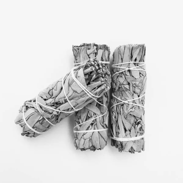 Doğal tütsü, Beyaz Bilge ve Palo Santo. Güney Amerika 'nın kutsal ağacı. Beyaz bilge ve Palo Santo beyaz arka planda.. 