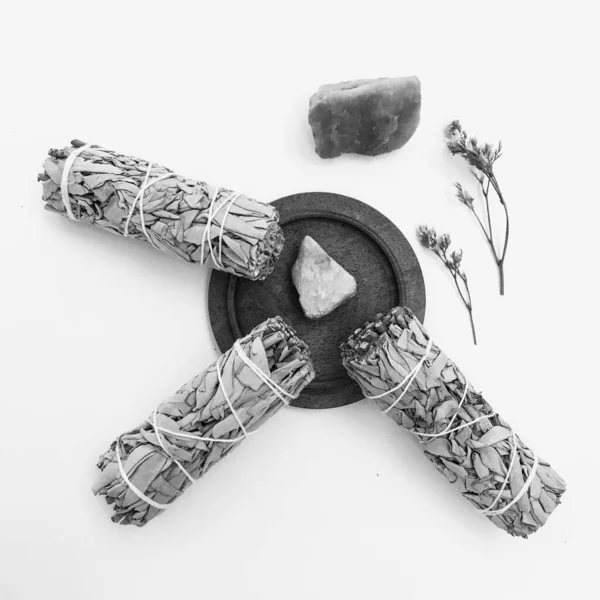 Doğal tütsü, Beyaz Bilge ve Palo Santo. Güney Amerika 'nın kutsal ağacı. Beyaz bilge ve Palo Santo beyaz arka planda.. 