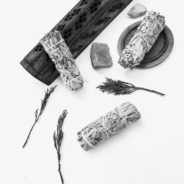 Doğal tütsü, Beyaz Bilge ve Palo Santo. Güney Amerika 'nın kutsal ağacı. Beyaz bilge ve Palo Santo beyaz arka planda.. 