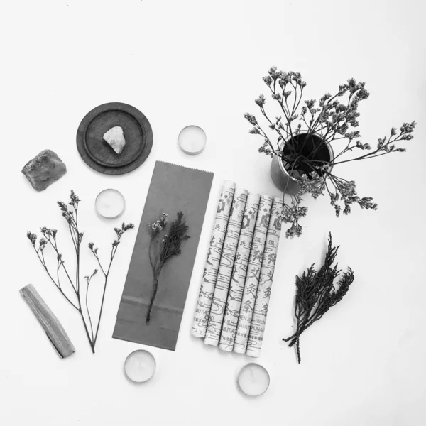 Doğal tütsü, Beyaz Bilge ve Palo Santo. Güney Amerika 'nın kutsal ağacı. Beyaz bilge ve Palo Santo beyaz arka planda.. 