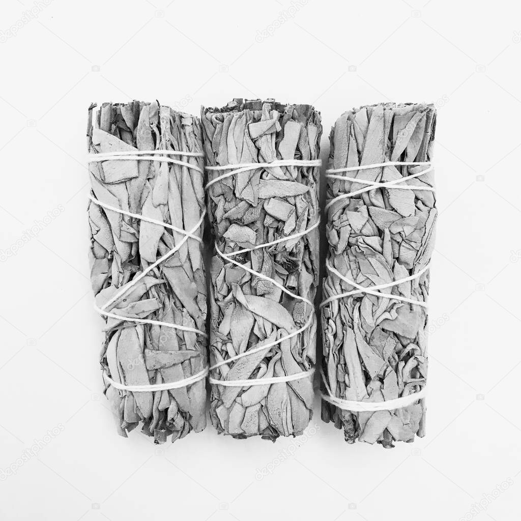 Natural incense White Sage and Palo Santo. Sacred tree of South America.White Sage and Palo Santo on white background. 