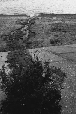 Kumsalın doğal kum dokusu. Kumsalın kumlarından akan suyla yapılmış markalar. Soyut fotoğrafçılık kum dokuları, soyut doğalcılık, soyuttan mecaza kadar..