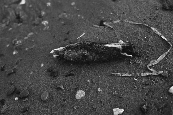 Φυσική Υφή Άμμου Της Παραλίας Μάρκες Φτιαγμένες Από Νερό Που — Φωτογραφία Αρχείου