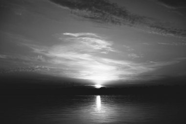 Doğal altyapılar, siyah beyaz manzara. Doğadaki kuşlar