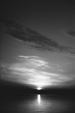 Doğal altyapılar, siyah beyaz manzara. Doğadaki kuşlar