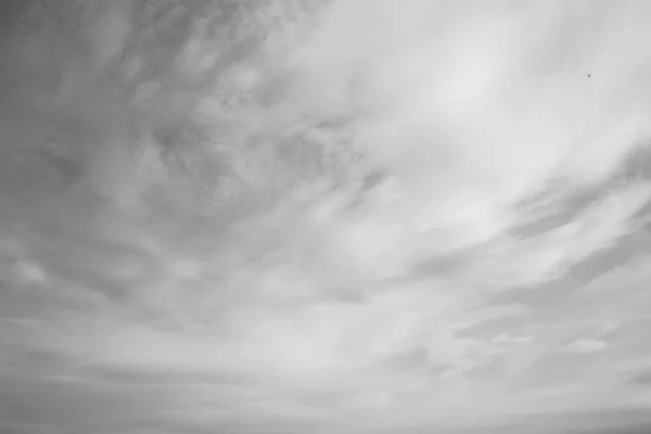 Natürliche Hintergründe Schwarz Weiße Landschaft Vögel Der Natur — Stockfoto