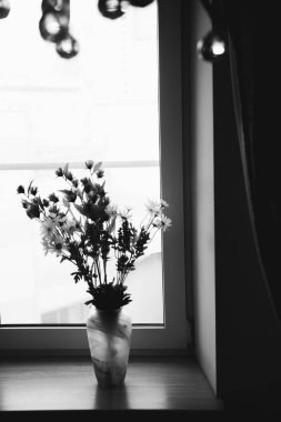 Ev içinde canlı bitkiler, yakın plan çiçeklerin siyah beyaz hayatları.