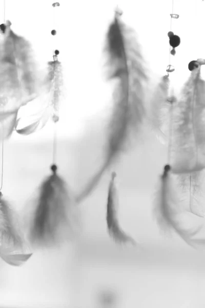 Natural Feathers Creativity Art Dream Catcher White Feathers — Stock Photo, Image