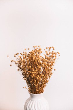 Herbarium, pussies, bouquet on black background. Color art photography of exotic plants and flowers. 