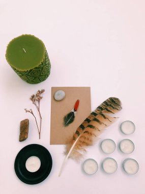 Beyaz Arkaplan Üzerindeki Tüyler 'in yakın plan planı, metin için. Biçim minimalizmi.