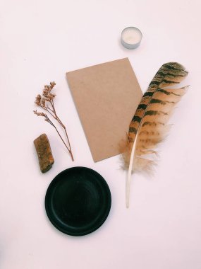 Beyaz Arkaplan Üzerindeki Tüyler 'in yakın plan planı, metin için. Biçim minimalizmi.