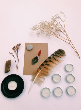 Beyaz Arkaplan Üzerindeki Tüyler 'in yakın plan planı, metin için. Biçim minimalizmi.