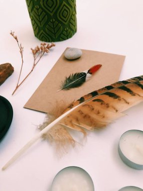 Beyaz Arkaplan Üzerindeki Tüyler 'in yakın plan planı, metin için. Biçim minimalizmi.