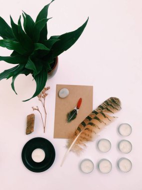 Beyaz Arkaplan Üzerindeki Tüyler 'in yakın plan planı, metin için. Biçim minimalizmi.