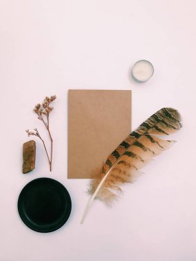 Beyaz Arkaplan Üzerindeki Tüyler 'in yakın plan planı, metin için. Biçim minimalizmi.