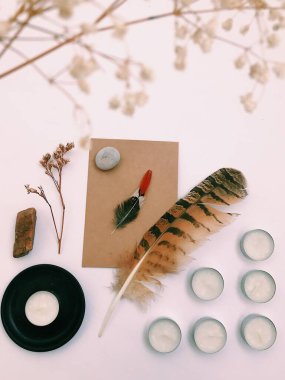 Beyaz Arkaplan Üzerindeki Tüyler 'in yakın plan planı, metin için. Biçim minimalizmi.