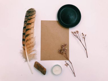 Beyaz Arkaplan Üzerindeki Tüyler 'in yakın plan planı, metin için. Biçim minimalizmi.