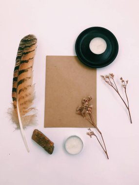 Beyaz Arkaplan Üzerindeki Tüyler 'in yakın plan planı, metin için. Biçim minimalizmi.