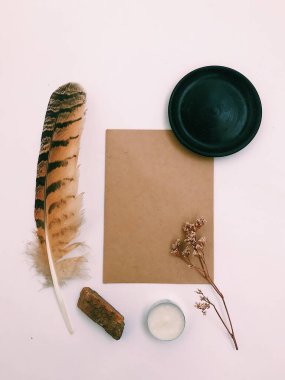 Beyaz Arkaplan Üzerindeki Tüyler 'in yakın plan planı, metin için. Biçim minimalizmi.