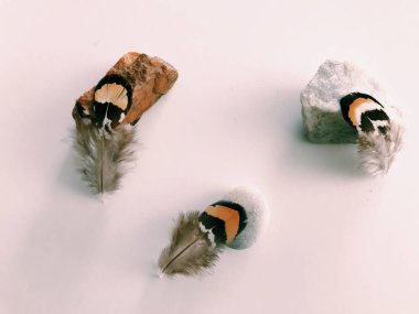 Beyaz Arkaplan Üzerindeki Tüyler 'in yakın plan planı, metin için. Biçim minimalizmi.