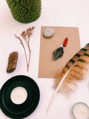 Beyaz Arkaplan Üzerindeki Tüyler 'in yakın plan planı, metin için. Biçim minimalizmi.