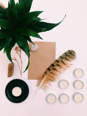 Beyaz Arkaplan Üzerindeki Tüyler 'in yakın plan planı, metin için. Biçim minimalizmi.