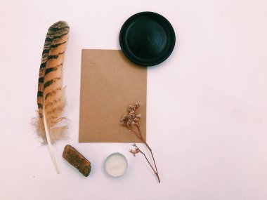 Beyaz Arkaplan Üzerindeki Tüyler 'in yakın plan planı, metin için. Biçim minimalizmi.