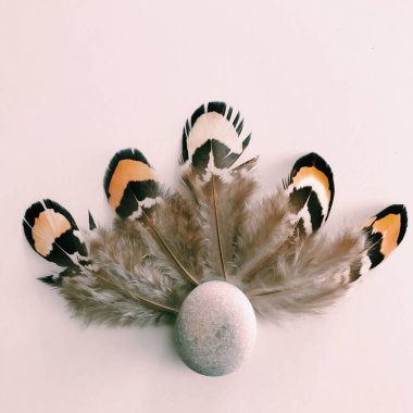 Beyaz Arkaplan Üzerindeki Tüyler 'in yakın plan planı, metin için. Biçim minimalizmi.