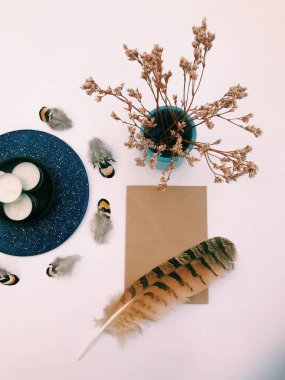 Beyaz Arkaplan Üzerindeki Tüyler 'in yakın plan planı, metin için. Biçim minimalizmi.