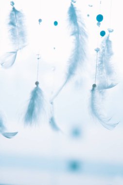 Beyaz Arkaplan Üzerindeki Tüyler 'in yakın plan planı, metin için. Biçim minimalizmi.