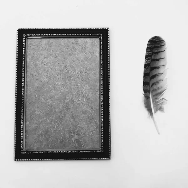 Feather Texture Background Layout Text — Stock Photo, Image