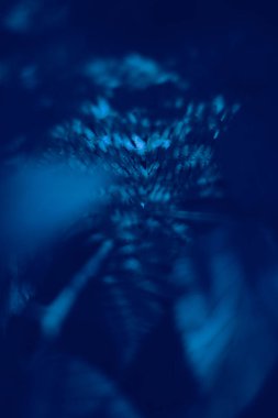 Bahçe arka planında klasik Mavi Pantone renk Yaprakları.