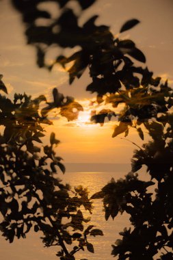 Arkaplan ve doku, soyut ve desen. Parlak ve zıt model. Resim.