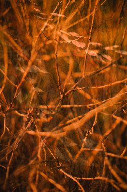 Arkaplan ve doku, soyut ve desen. Parlak ve zıt model. Resim.