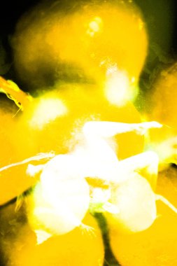 Arkaplan ve doku, soyut ve desen. Parlak ve zıt model. Resim.