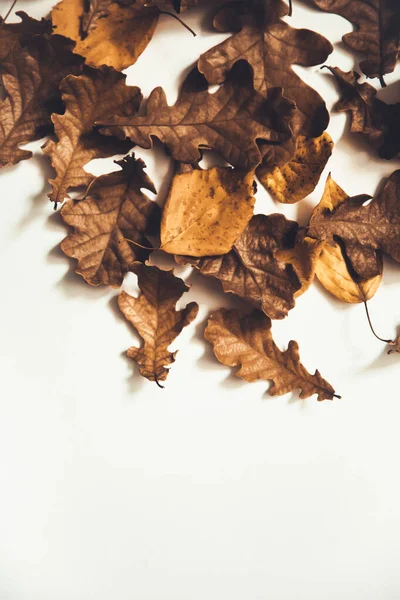Herbst Hintergrund Aus Trockenen Blättern Flache Lage Draufsicht Kopierraum Für — Stockfoto