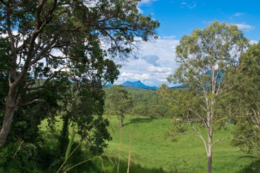 Avustralya hinterland yaz aylarında manzara