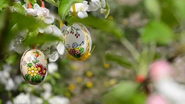 Easter Eggs Hanging Twig Apple Tree Garden — Stock Video