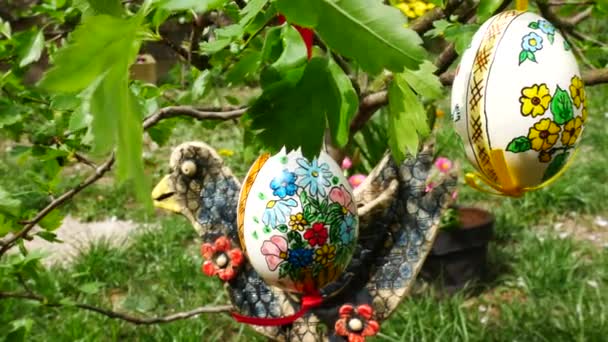 Œufs Pâques Accrochés Brindille Dans Jardin Panoramique — Video