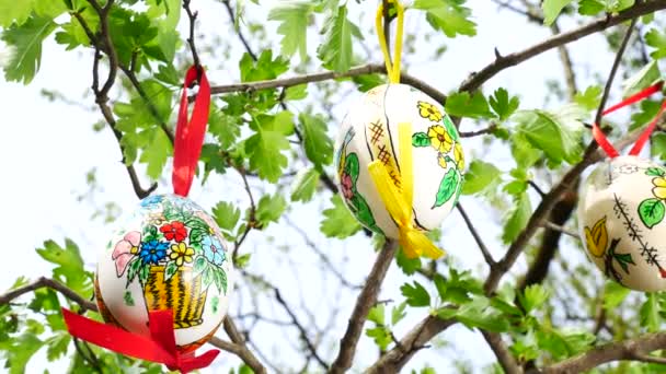 Œufs Pâques Accrochés Brindille Dans Jardin Panoramique — Video