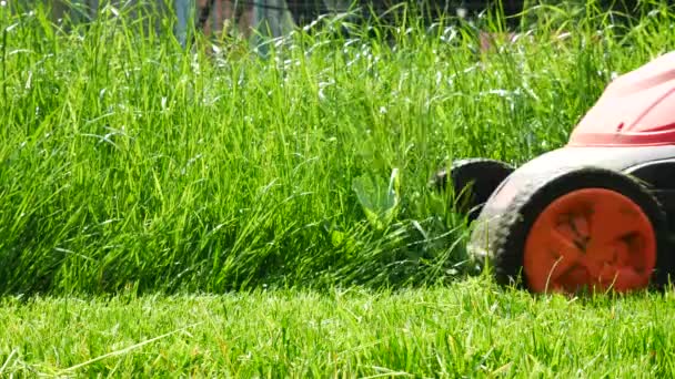 Homme Tond Herbe Dans Jardin Aucun Mouvement Caméra — Video